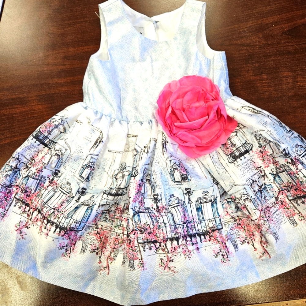 Beautiful Sz 12m Paris Dress by Pippa & Julie